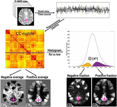 A Quantitative Data-Driven Analysis Framework for Resting-State Functional Magnetic Resonance Imaging: A Study of the Impact of Adult Age